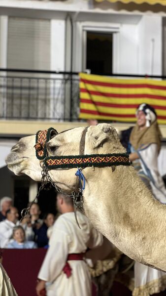 Pulsa para ver la imagen a tamaño completo